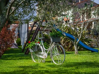 Villa Krnica Registrazione all'aperto 9