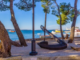 Appartamento per vacanze Fažana Ambiente 19