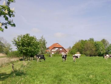 Bauernhof Ferienwohnung Kastanie