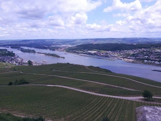 Rheinsteig nach Rüdesheim