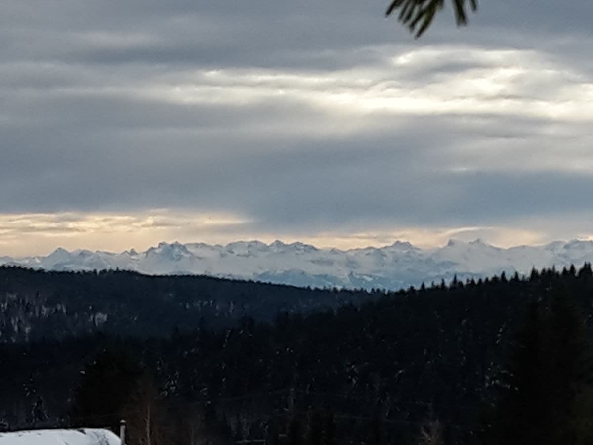 Blick auf die schweizer Alpen