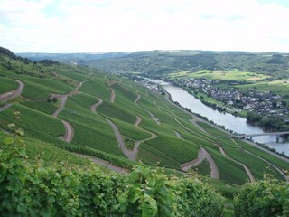 Blick über die Weinberge