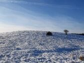 hinter meinen Gartenzaun