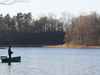 Neuenkirchner See