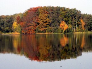 Goldener Herbst am Neuenkirchener See