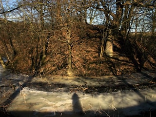 Die Eulenburg im Bruch