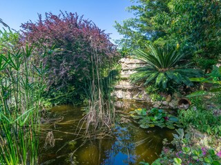 Tenuta Felanitx Registrazione all'aperto 24