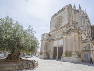 Villa Manacor Außenaufnahme 22