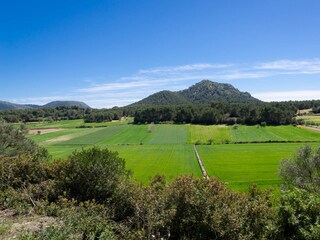 Tenuta Algaida Ambiente 44
