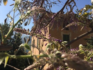 Appartamento per vacanze Valsolda Registrazione all'aperto 4