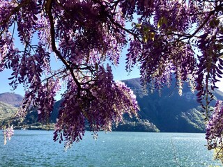 Appartamento per vacanze Valsolda Registrazione all'aperto 18