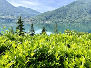 Holiday apartment Valsolda Environment 36