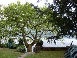 Vakantieappartement Valsolda Buitenaudio-opname 11