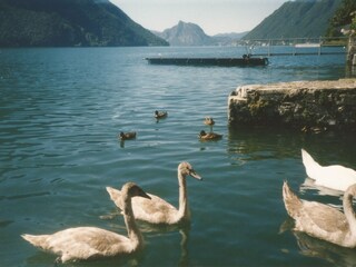 Holiday apartment Valsolda Outdoor Recording 17