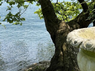 The magic of living directly on the lake Lugano