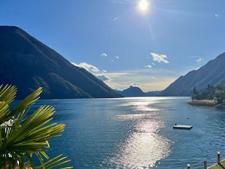 Vom Garten aus in den schönsten  Teil des Luganersee