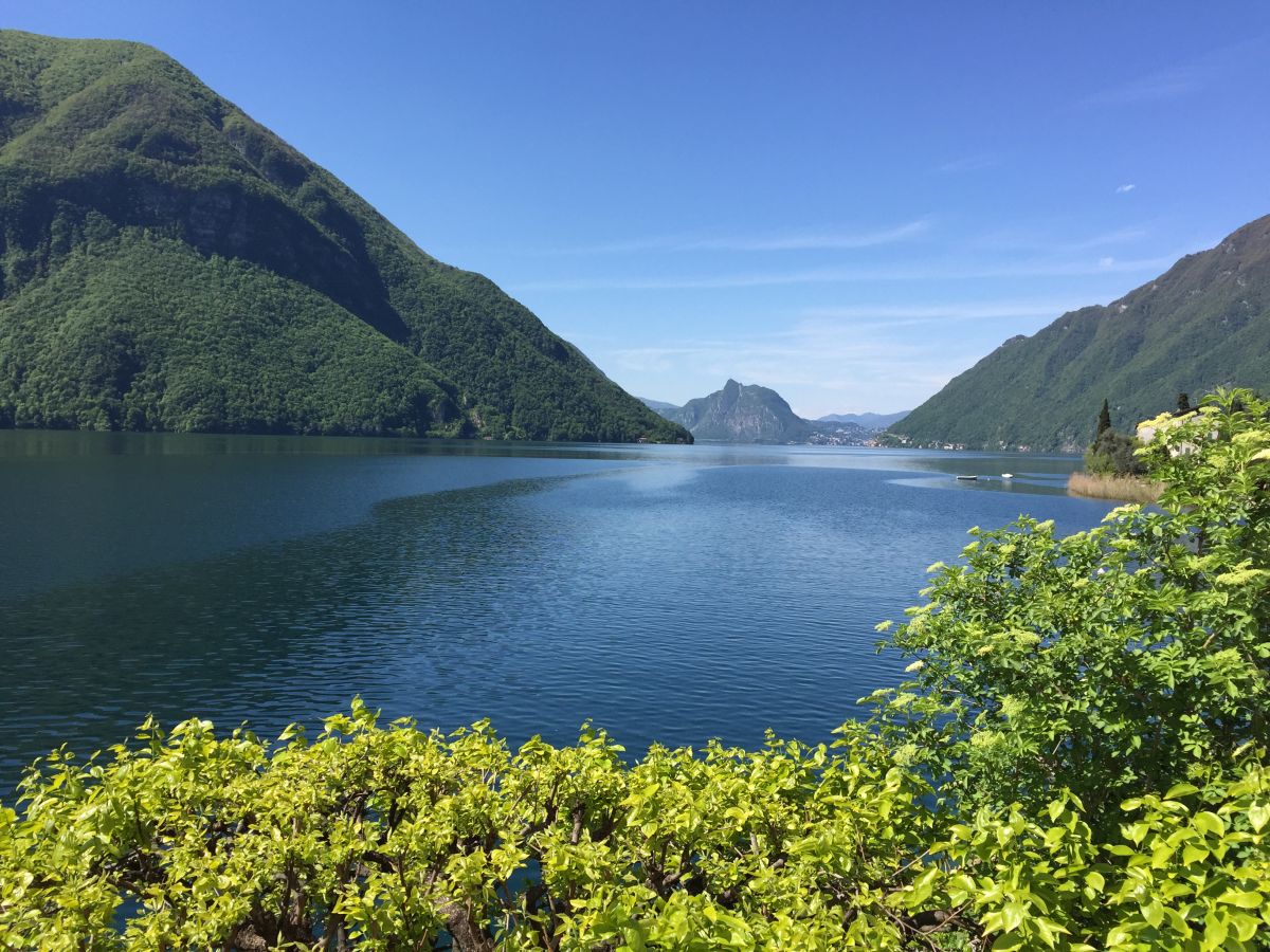 Direkt schwimmen in einer wunderschoenen Landschaft