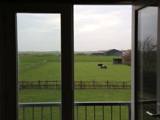 Casa per le vacanze De Cocksdorp Registrazione all'aperto 9