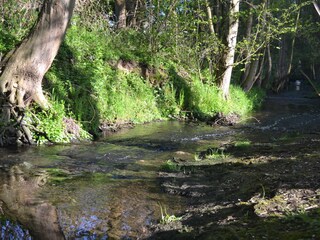 Bachlauf angrenzend an Gut Obermühle