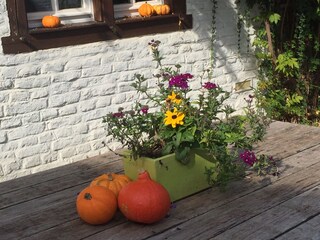 herbstliche Impressionen