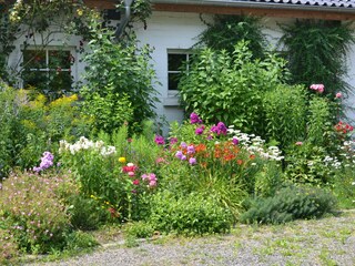 Gartenimpression