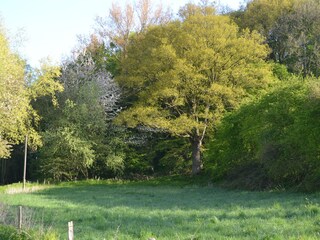 Umgebung Gut Obermühle