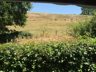 Ausblick Wohnraum