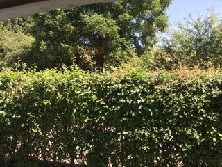 Ausblick Schlafzimmer