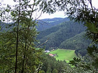 Ferienhaus Hornberg  13