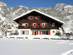 Holiday apartment Haus in der Sonne - Bad Hindelang - image1