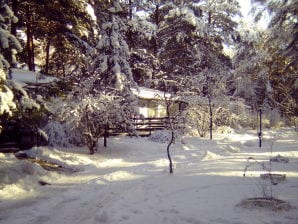 Ferienhaus Bungalow Heidecamp-Koose, Scholis30, Bad Schmiedeberg - Bad Schmiedeberg - image1