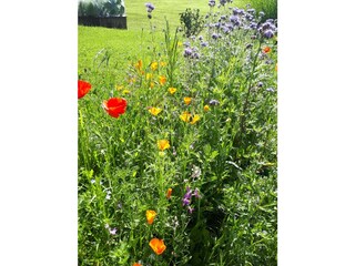 Appartamento per vacanze Schoppernau Registrazione all'aperto 8