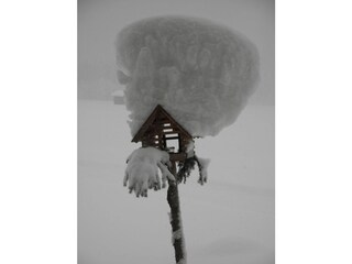 Vakantieappartement Schoppernau Omgeving 38