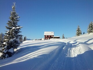 Appartamento per vacanze Schoppernau Ambiente 18