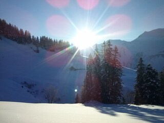 Appartamento per vacanze Schoppernau Ambiente 32