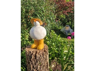 Ferienhaus Maasholm Dokument 43