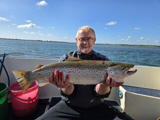 Die großen Fische sind Chefsache ????