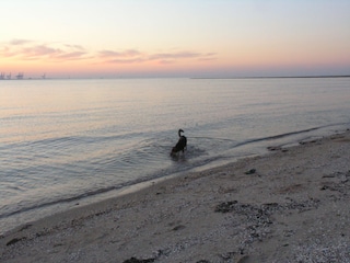 am Strand