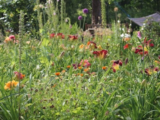 Gartenimpressionen