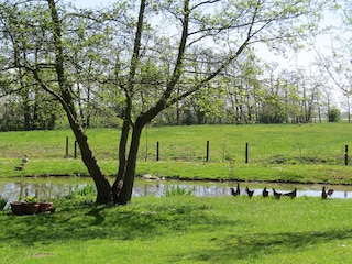 es wird Frühling...