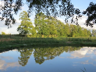 am Teich