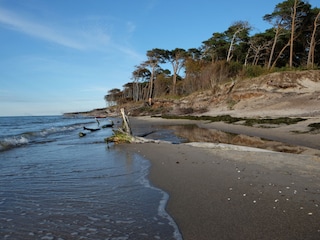 Weststrand am Wasser