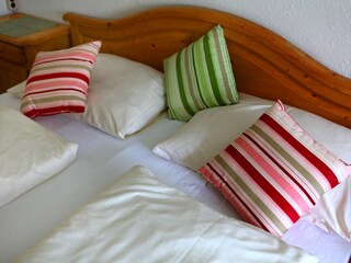 Appartamento per vacanze Mayrhofen Caratteristiche 11