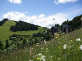 Blick von der bunten Almwiese auf die Ferienanlage