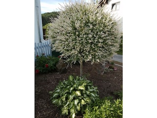 Ferienwohnung Schöllnach Außenaufnahme 5