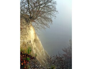 Kreidefelsen