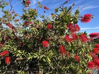 Casa per le vacanze Costa Paradiso Registrazione all'aperto 11