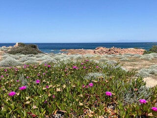 Casa per le vacanze Costa Paradiso Ambiente 31