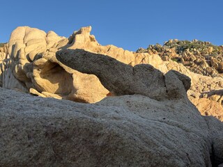 A reptile :-) , Costa Paradiso