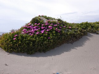 Casa per le vacanze Costa Paradiso Ambiente 25